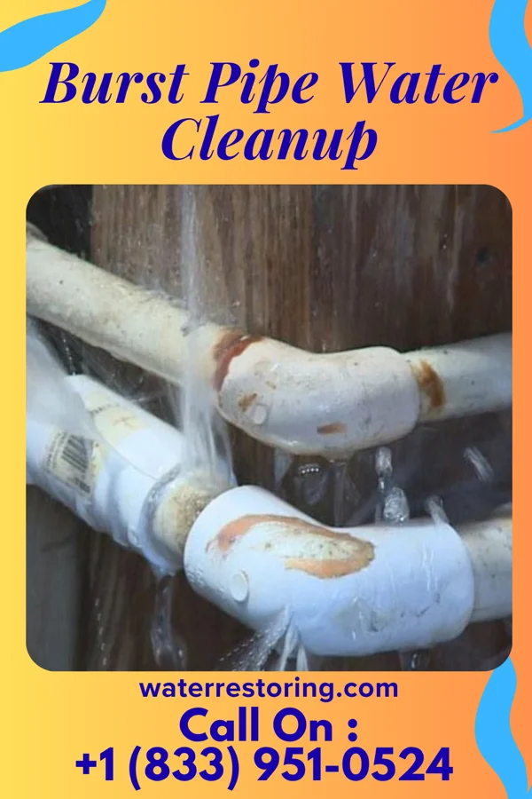 Burst Pipe Water Cleanup in South Carthage, TN