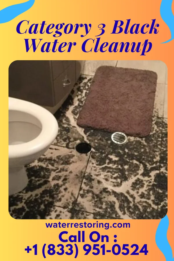 Category 3 Black Water Cleanup in South Carthage, TN