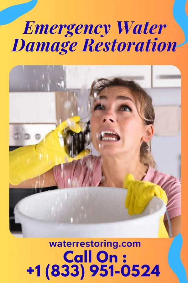 Emergency Water Damage Restoration in South Carthage, TN