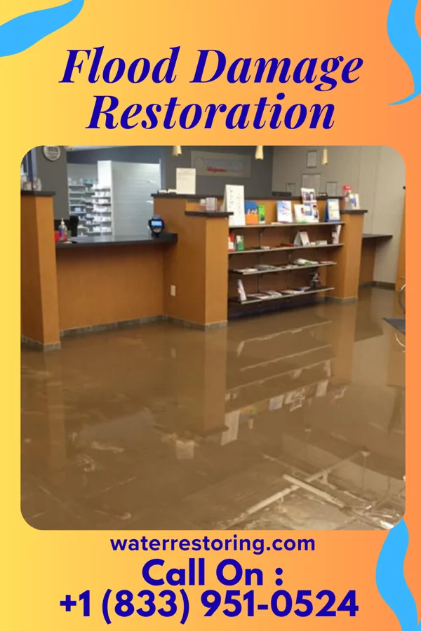 Flood Damage Restoration in South Carthage, TN