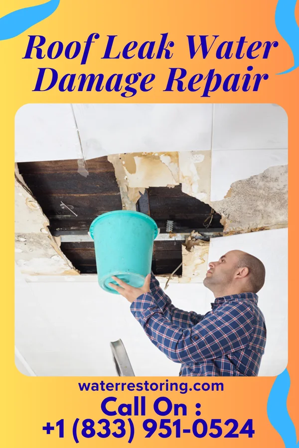Roof Leak Water Damage Repair in South Carthage, TN