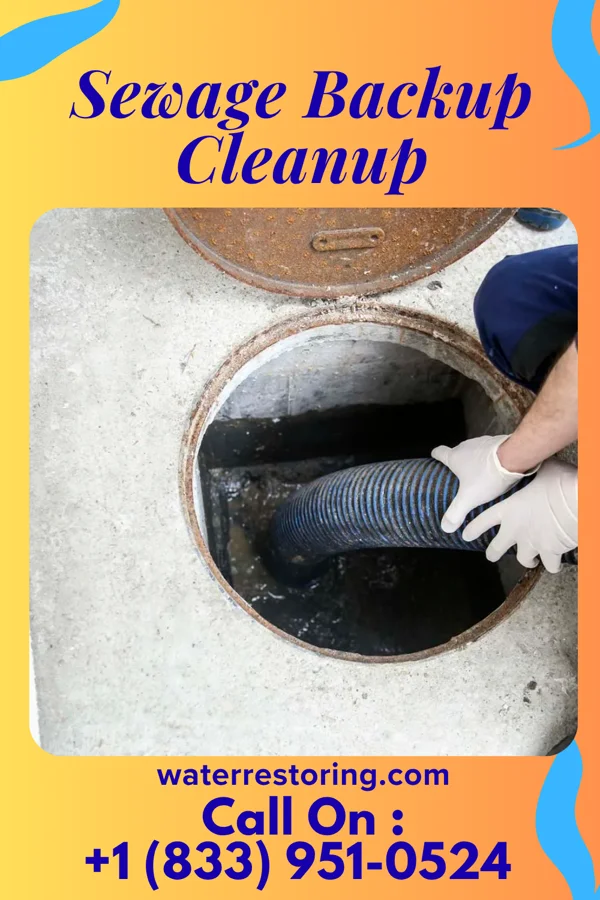 Sewage Backup Cleanup in South Carthage, TN
