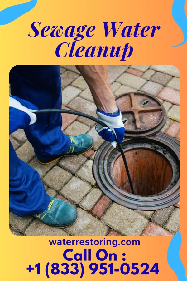 Sewage Water Cleanup in South Carthage, TN